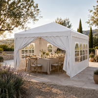 Carpa Plegable 3x3 M Con 4 Paredes Laterales Y Estructura Reforzada