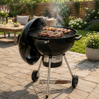 Barbacoa de Carbón Redonda Portátil con Tapa y Ventilación