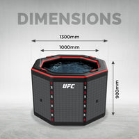 NetSpa - UFC Octagon IceBath baño de hielo con kit enfriador